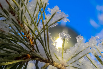 Фотография к новости: Жаңа жылда ауа райы қандай болады? – Синоптиктер болжамы