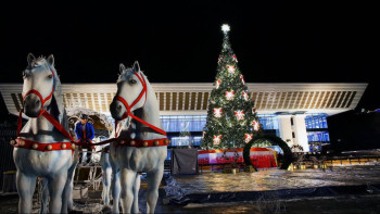 Фотография к новости: Жаңа жылдық мерекеде неден сақтану керек? – Мамандар кеңесі