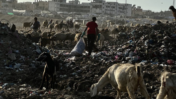 Фотография к новости: Израиль 2025 жылы Газаның инфрақұрылымының 90 пайызын жойды