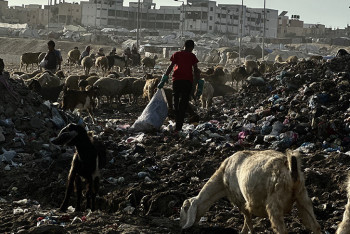 Фотография к новости: Израиль 2025 жылы Газаның инфрақұрылымының 90 пайызын жойды