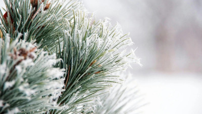 Қазақстанда қаңтар әдеттегіден жылырақ болады