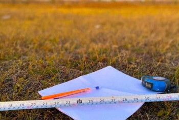 Фотография к новости: 2,1 млн га пайдаланылмаған жер мерзімінен бұрын мемлекет меншігіне қайтарылды