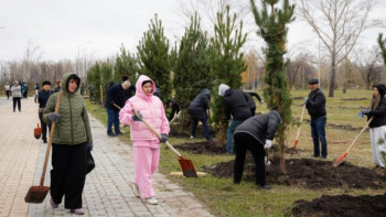 Фотография к новости: 2025 жылы Қостанайда 80 саябақ абаттандырылды