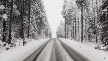 Фотография к новости: Боран, көктайғақ: Бурабайға барған туристер нені ескергені жөн