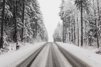 Фотография к новости: Боран, көктайғақ: Бурабайға барған туристер нені ескергені жөн