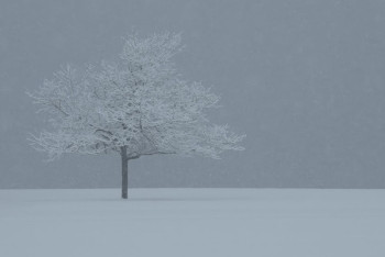 5 қаңтарда бірқатар өңірде ауа райына байланысты ескерту жасалды