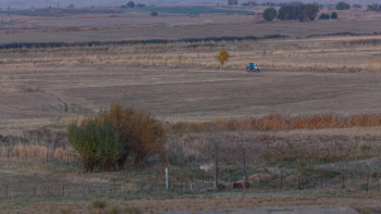 Фотография к новости: Жайылым тапшы, жер бос: Ақмолада 332 млн теңгенің жері мемлекетке өтті