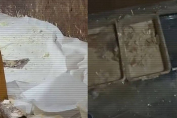 Фотография к новости: Үй ауласында есірткі өндірген қарағандылық өмір бойына сотталуы мүмкін