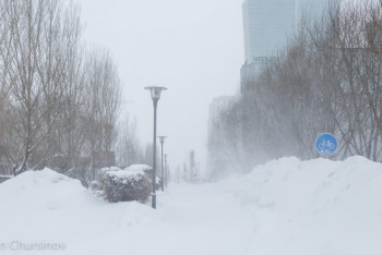 Фотография к новости: Қар мен қатты жел: Қазақстанның қай өңірлерінде дауылды ескерту жарияланды?