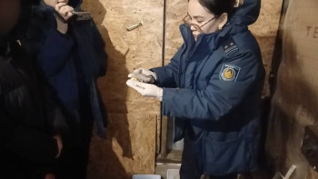 Фотография к новости: Ақмола облысының тұрғынынан 280 түйіншек мефедрон тәркіленді