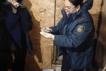 Фотография к новости: Ақмола облысының тұрғынынан 280 түйіншек мефедрон тәркіленді