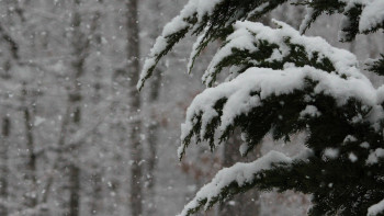 Фотография к новости: Тұман, боран, көктайғақ: 15 өңірде дауылды ескерту жарияланды