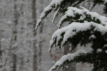 Фотография к новости: Тұман, боран, көктайғақ: 15 өңірде дауылды ескерту жарияланды