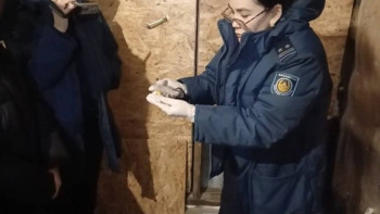 Фотография к новости: Ақмола облысында есірткіні жасырын қойып кетуші қолға түсті