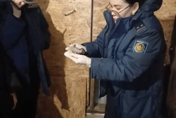 Фотография к новости: Ақмола облысында есірткіні жасырын қойып кетуші қолға түсті