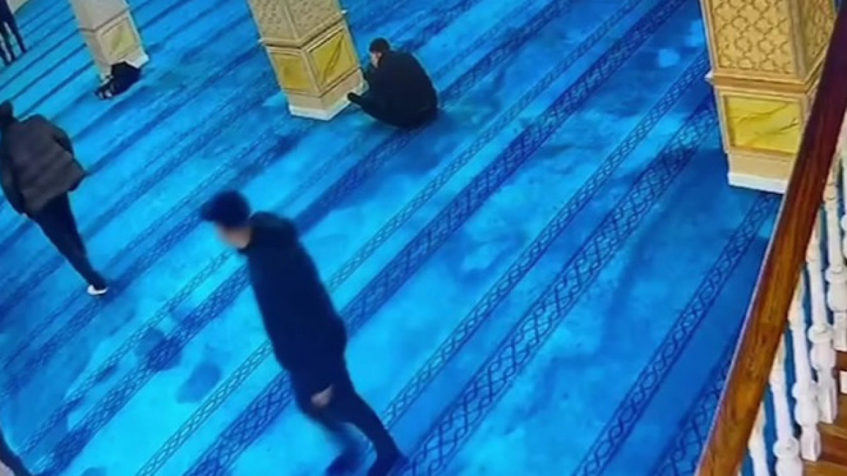  видеодан скриншот