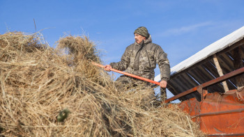 Фотография к новости: Зейнет жасы төмендетілуі мүмкін: Кім жеңілдікке ілінеді?