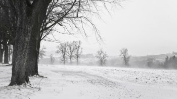Фотография к новости: Қар, боран: 12 қаңтарға арналған ауа райы болжамы