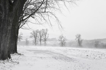 Фотография к новости: Қар, боран: 12 қаңтарға арналған ауа райы болжамы
