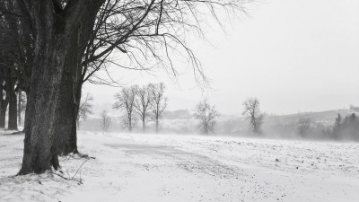 Қар, боран: 12 қаңтарға арналған ауа райы болжамы