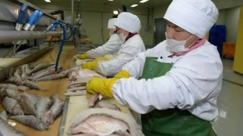 Фотография к новости: 60 мың тоннаға жуық дайын балық өнімі өндірілді