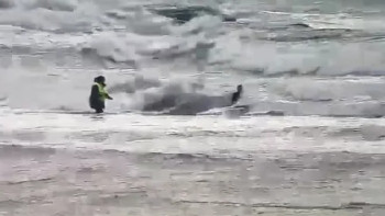 Фотография к новости: Ақтауда суға батып бара жатқан жасөспірім құтқарылды