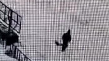 Фотография к новости: Періштесі қақты: Абай облысында бала 6 сағат бойы құдықта отырған