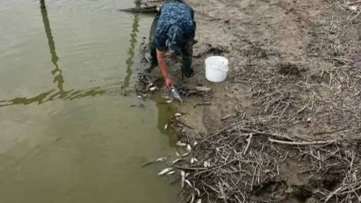  Ауыл шаруашылығы министрлігі