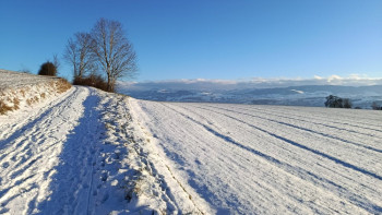 Фотография к новости: Ертең еліміздің басым бөлігінде боран соғып, қатты аяз болатыны болжанады