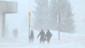 Фотография к новости: Астанада екінші ауысымдағы оқушылар үшін де сабақ болмайды
