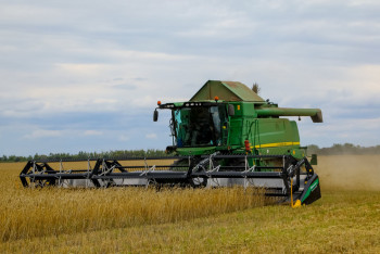 Фотография к новости: Қазақстан бидай егуді азайтып, майлы дақылдарға бет бұрды