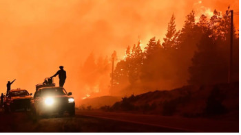 Фотография к новости: Аргентинадағы орман өртіне байланысты мыңдаған турист эвакуацияланды