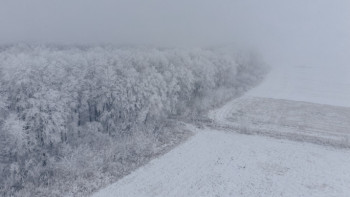 Фотография к новости: Көктайғақ, тұман, боран: 13 өңірде дауылды ескерту жарияланды