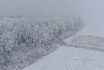 Фотография к новости: Көктайғақ, тұман, боран: 13 өңірде дауылды ескерту жарияланды