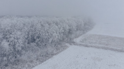 Көктайғақ, тұман, боран: 13 өңірде дауылды ескерту жарияланды