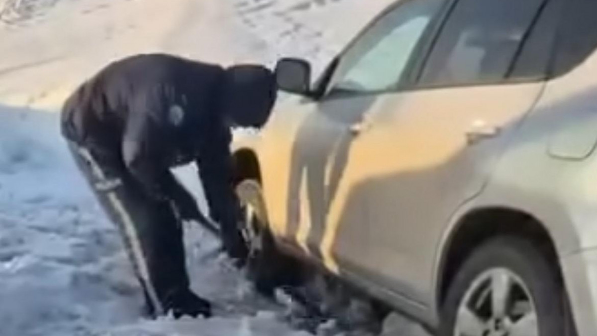  видеодан алынған кадр