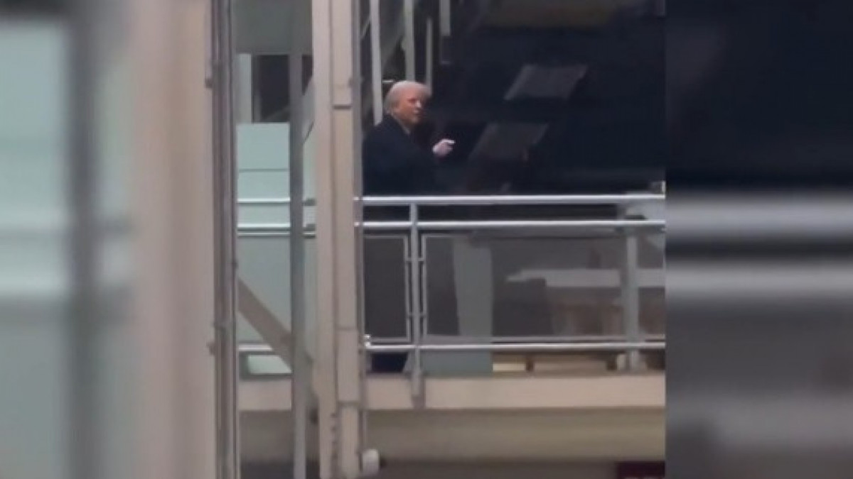  видеодан скриншот