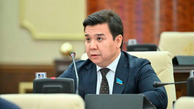 Депутат Үкіметтен сәбіз экспортына шектеудің негізін түсіндіруді талап етті