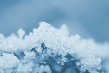 Фотография к новости: Қатты аяз, қарлы боран: 14 облыста дауылды ескерту жарияланды