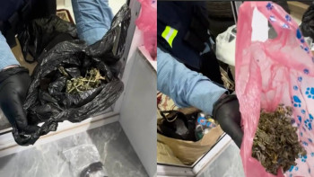 Фотография к новости: Астанада 35 жастағы әйелден ірі көлемде есірткі тәркіленді