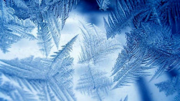 Фотография к новости: Шығыс Қазақстандағы бір ауылда 53 градус аяз тіркелді