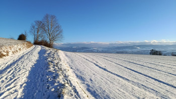 Фотография к новости: Қар, аяз, көктайғақ: дүйсенбіде бірқатар өңірде ауа райына байланысты ескерту жасалды