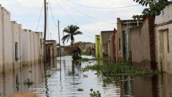 Фотография к новости: Африканың оңтүстігінде су тасқынынан 100-ден астам адам қаза тапты