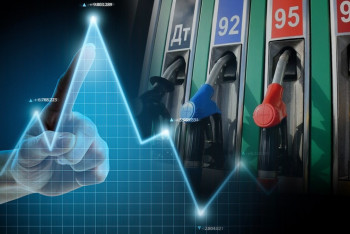 Фотография к новости: Жанармайдың арзан бағасы экономикаға кері әсер етіп жатыр – сарапшы