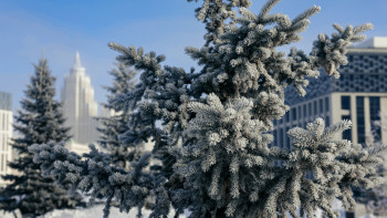 Фотография к новости: 20 қаңтарға арналған ауа райы болжамы жарияланды