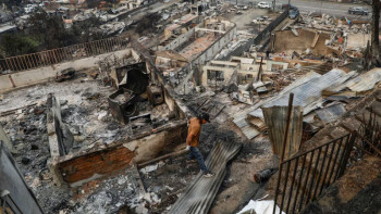 Фотография к новости: Чилиде орман өртінен 19 адам қаза тапты