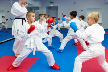 Фотография к новости: ArtSport арқылы 1,4 млн теңге жымқырған кәсіпкер сотталды