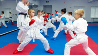 ArtSport арқылы 1,4 млн теңге жымқырған кәсіпкер сотталды