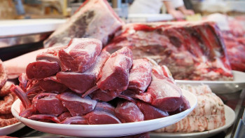 Фотография к новости: Жылқы етінің импорты екі есеге артты