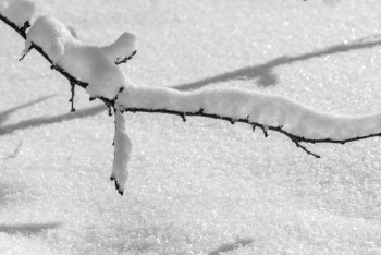 Фотография к новости: Қарлы боран: Алматы мен 14 облыста дауылды ескерту жарияланды